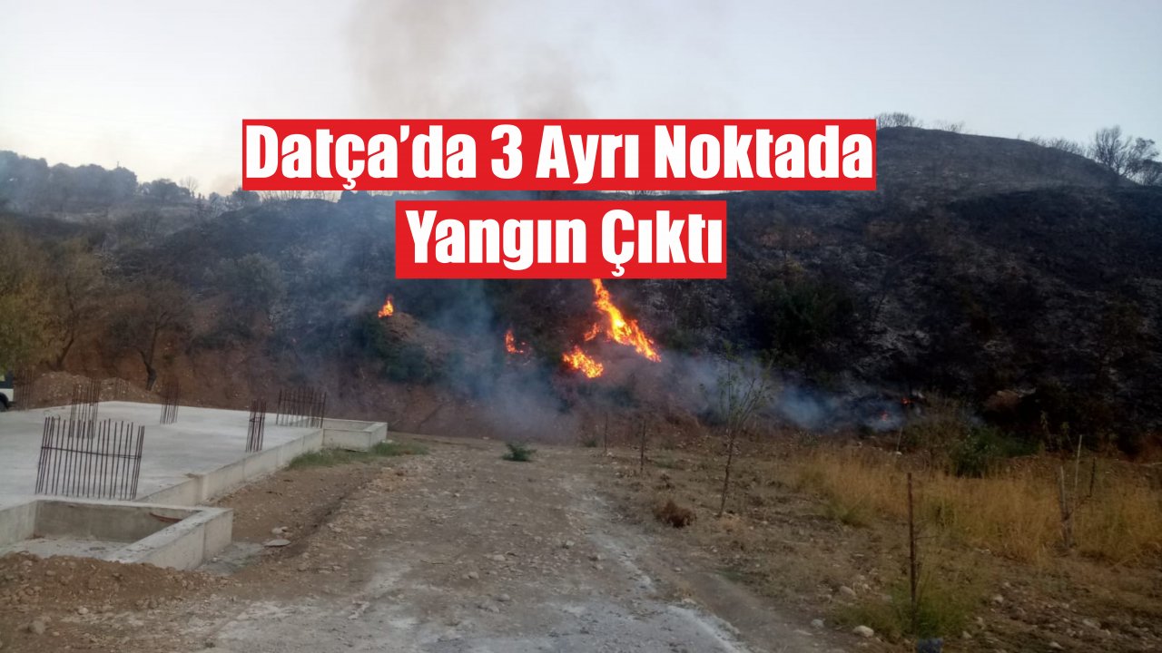 Datça’da Zirai Alanda Üç Farklı Noktada Yangın Çıktı