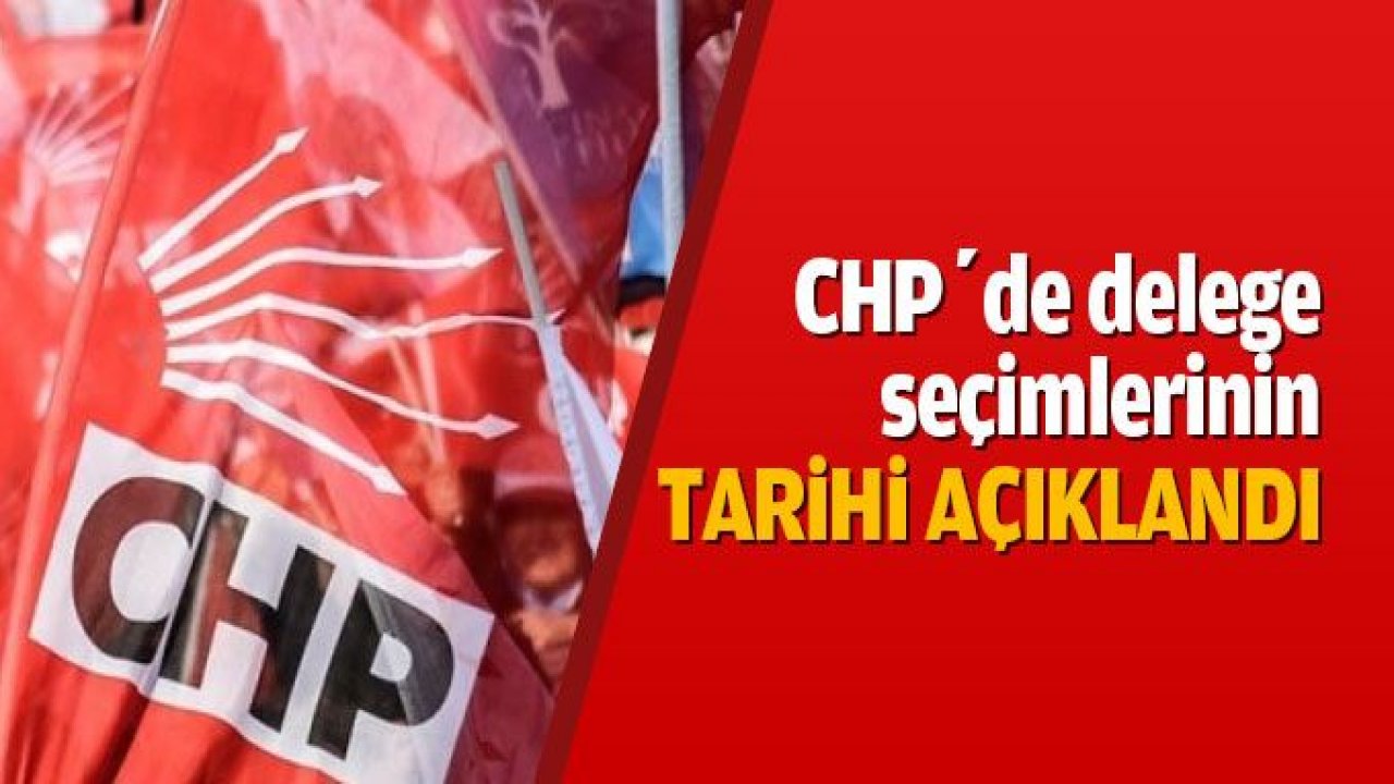 Delege Seçimleri 8 Kasım’da Başlıyor