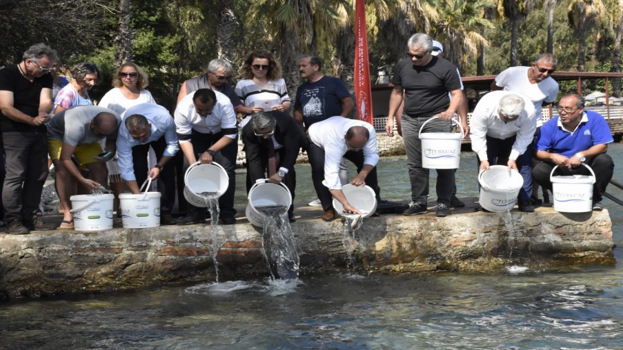 Bin Adet Lahos Balığı Gökova Körfezine Bırakıldı