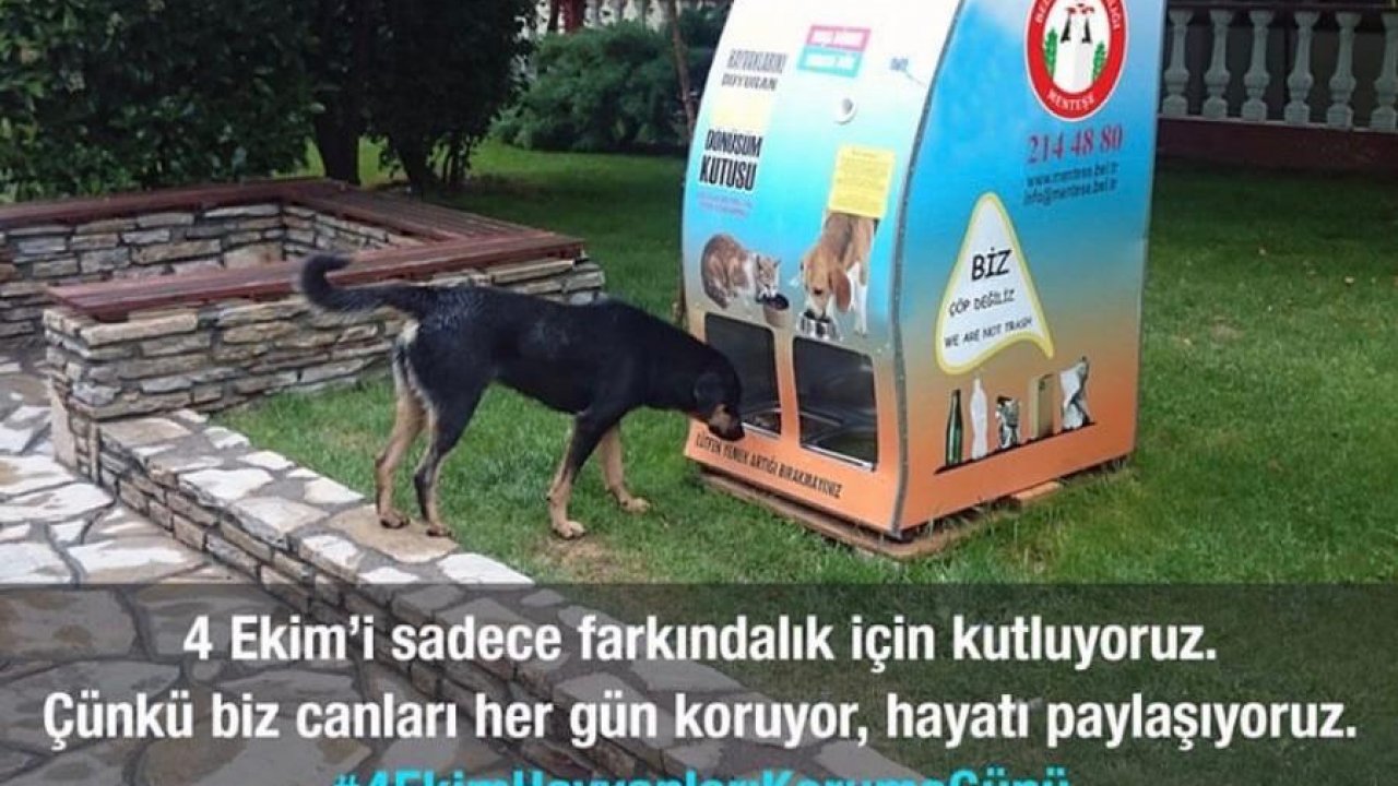 Belediye Olmayan Makina İle Hayvanları Koruma Gününü Kutladı