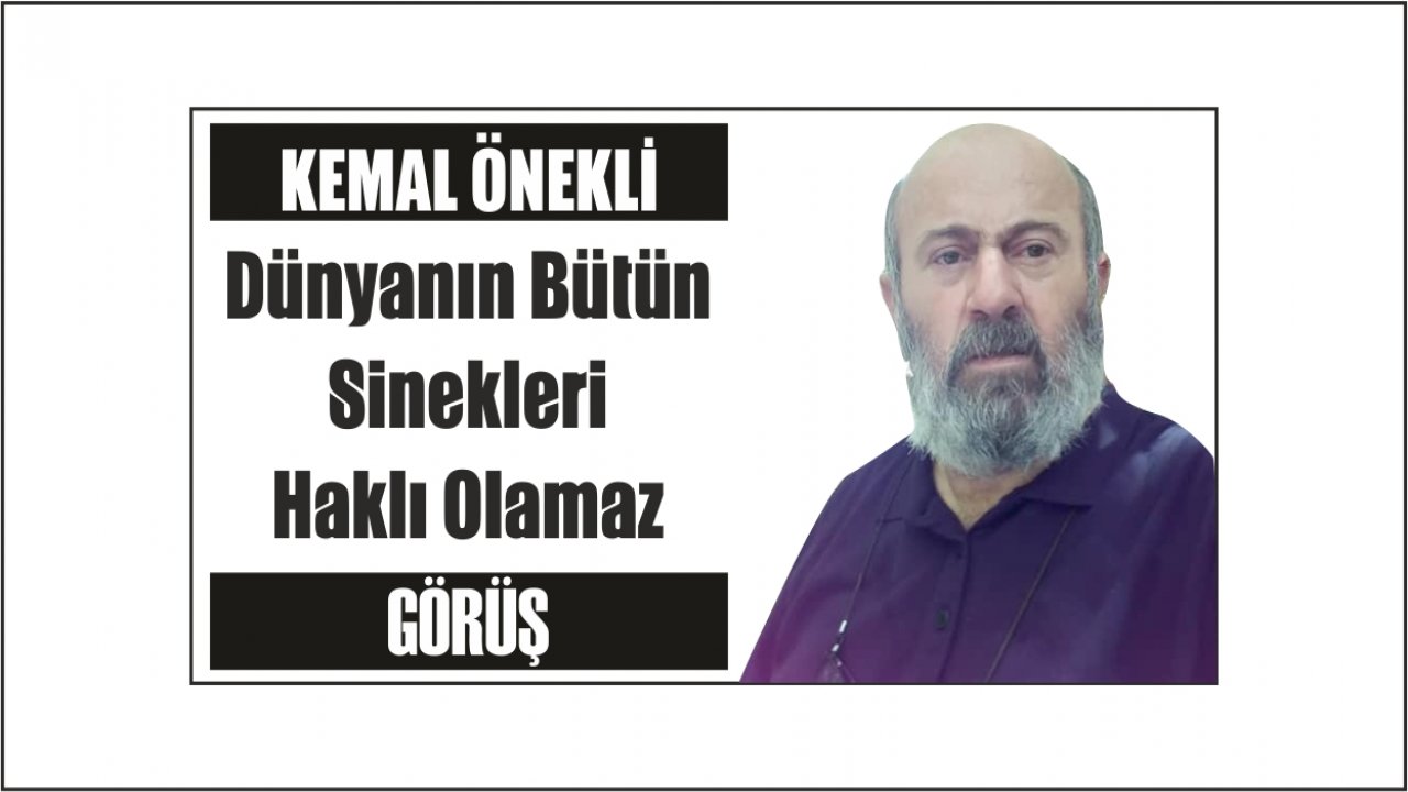 Dünyanın Bütün Sinekleri Haklı Olamaz
