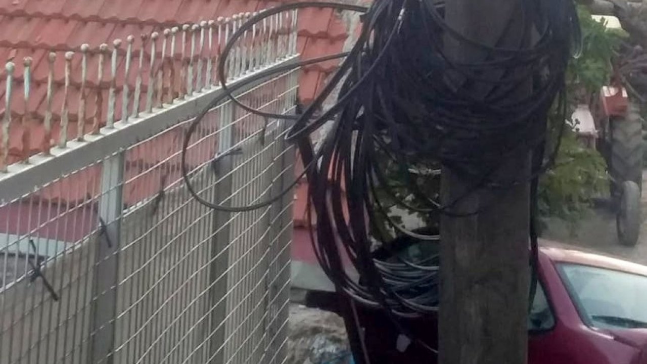 Ağacı Kestiler, İnternet Koptu