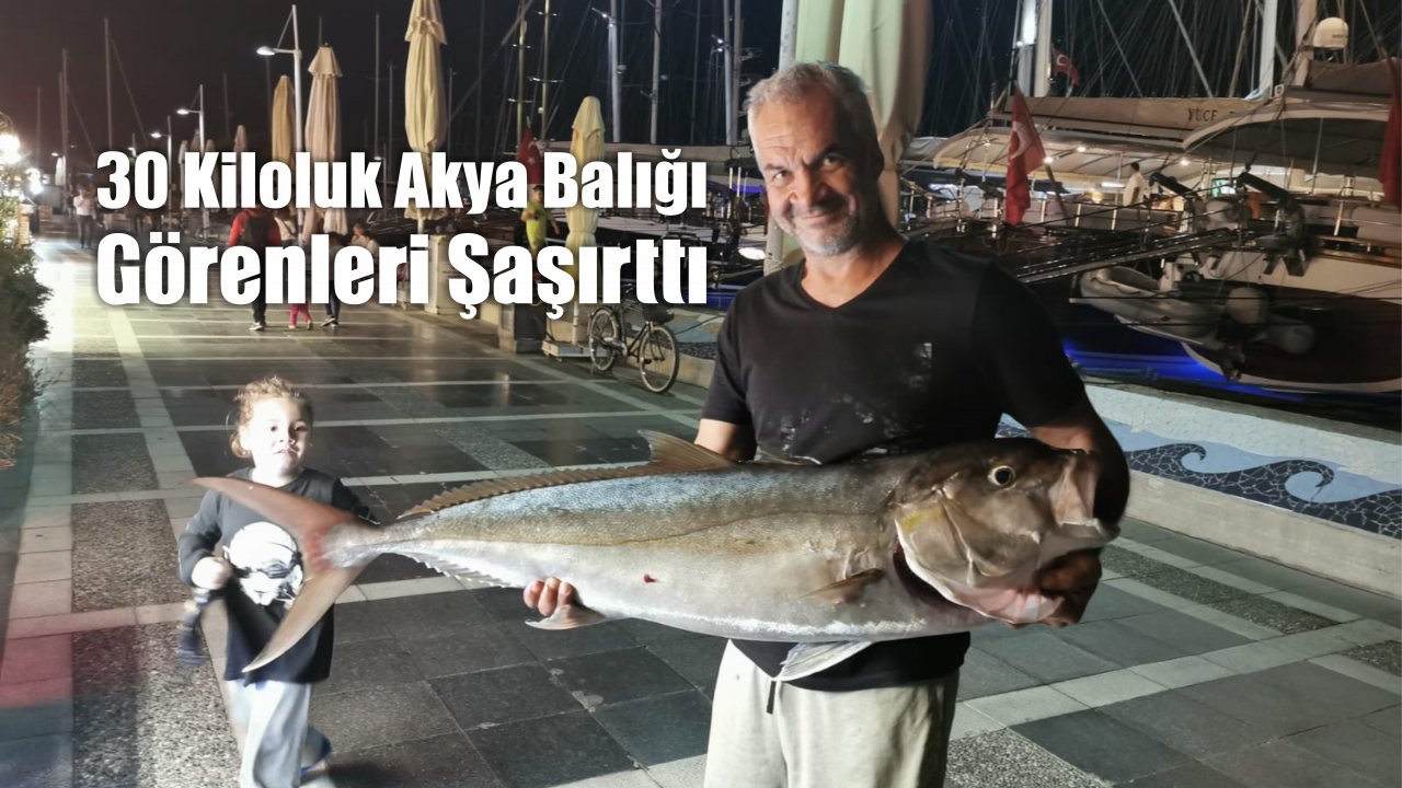 30 Kiloluk Akya Balığı Görenleri Şaşırttı