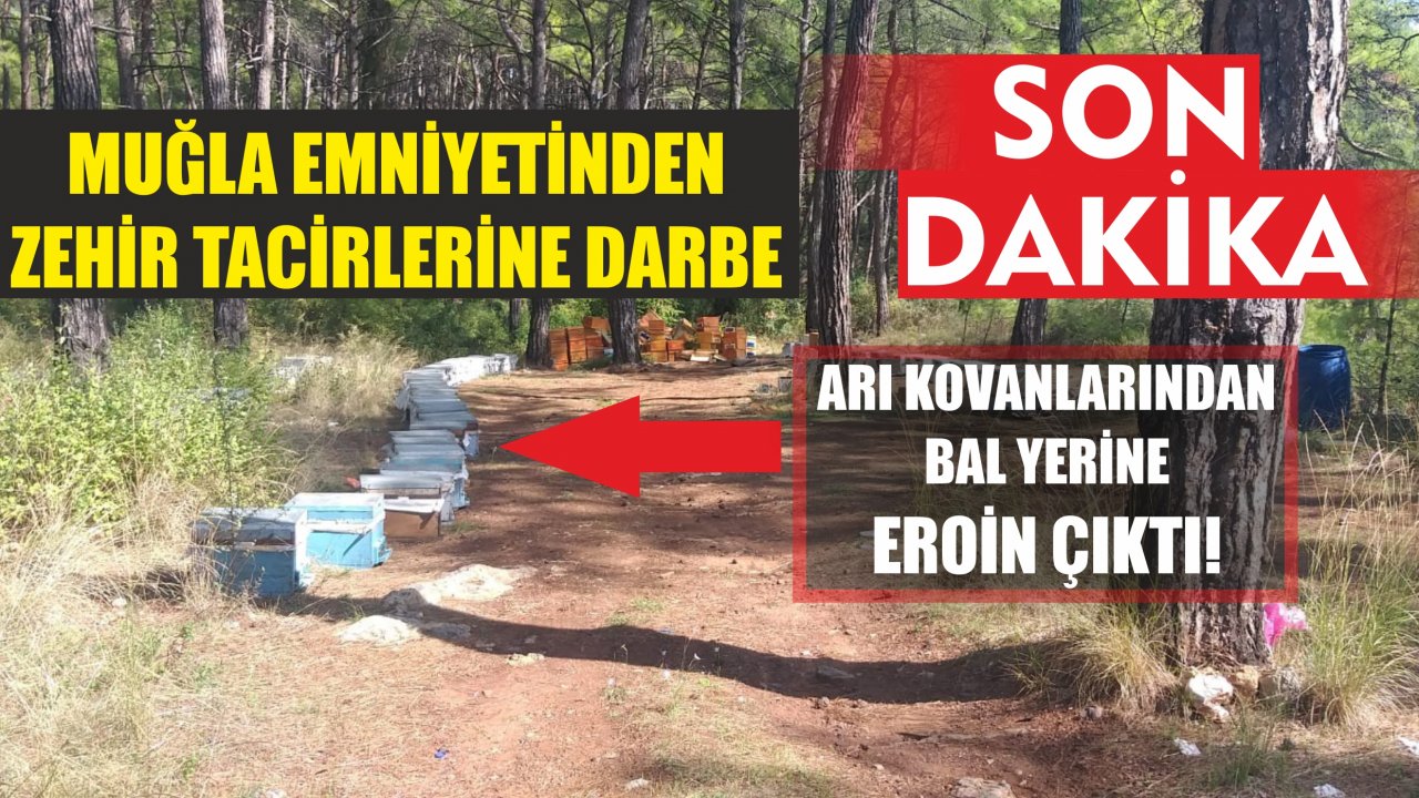 Arı Kovanlarından Bal Yerine Eroin Çıktı !