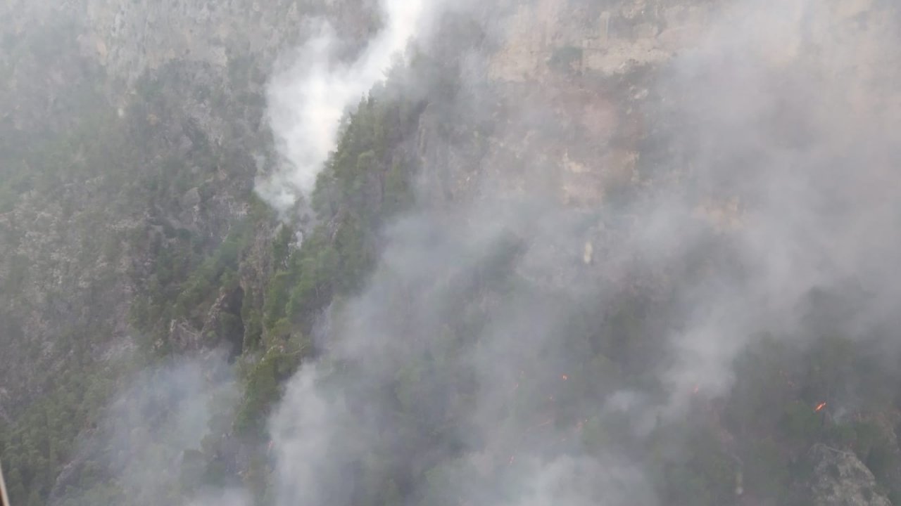 Yıldırım Düşmesi Sonucu Orman Yangını Çıktı
