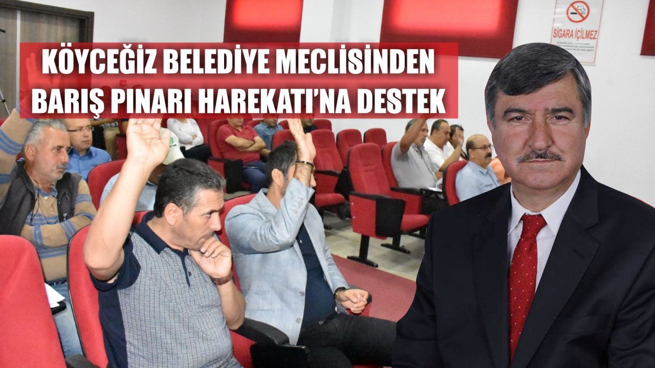 Meclis’ten 'Barış Pınarı Harekât'ına Destek