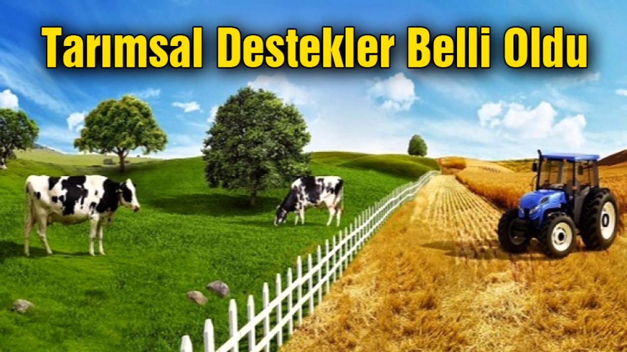 Destek Miktarı Resmi Gazetede Yayınlandı