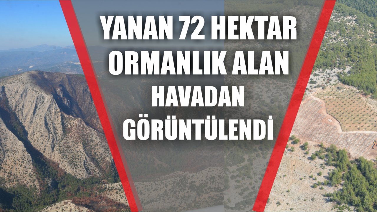 Yanan 72 Hektar Ormanlık Alan Havadan Görüntülendi  