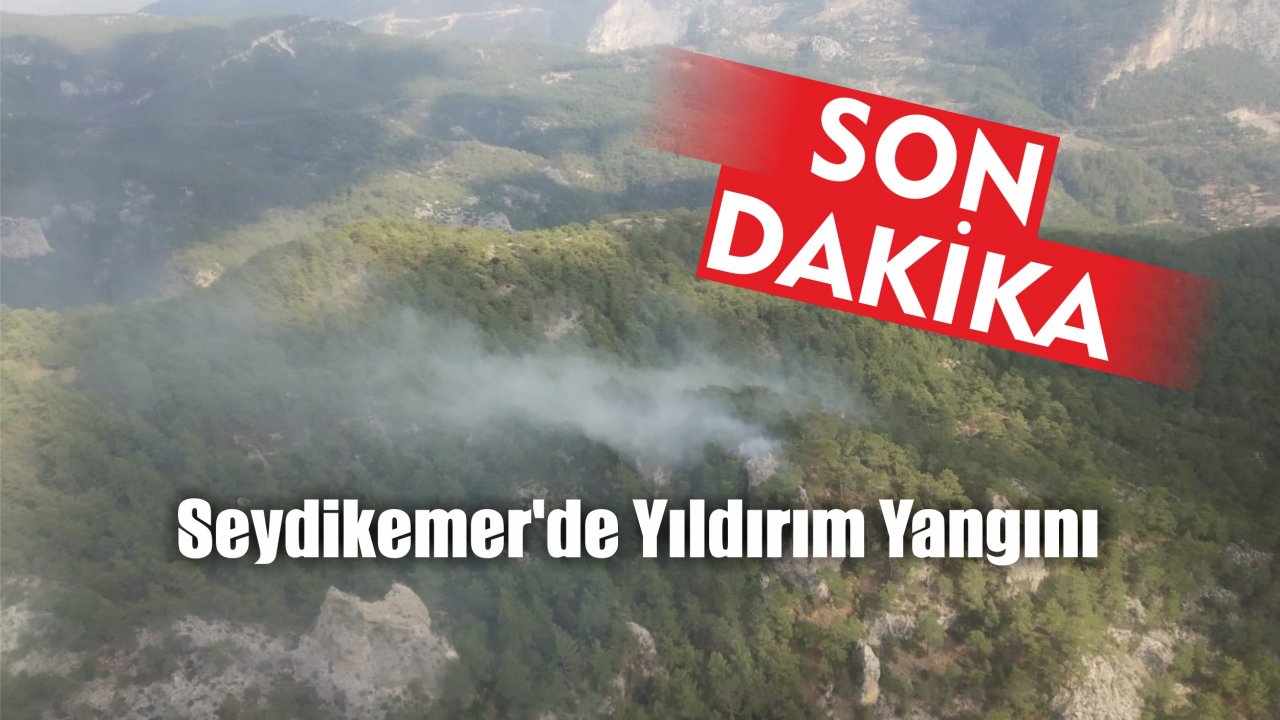 Seydikemer’de Yıldırım Yangını