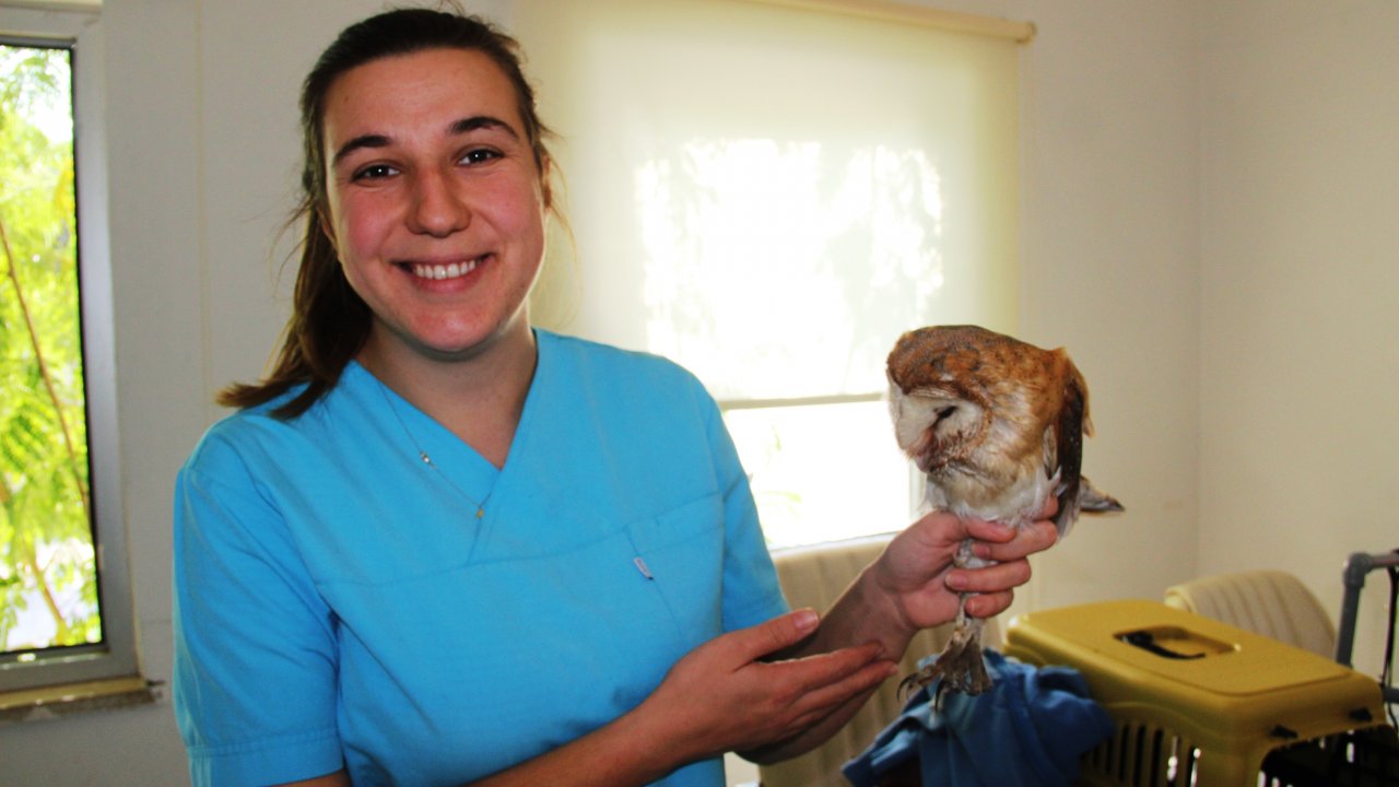 Yaralı Baykuş İçin Seferber Oldular