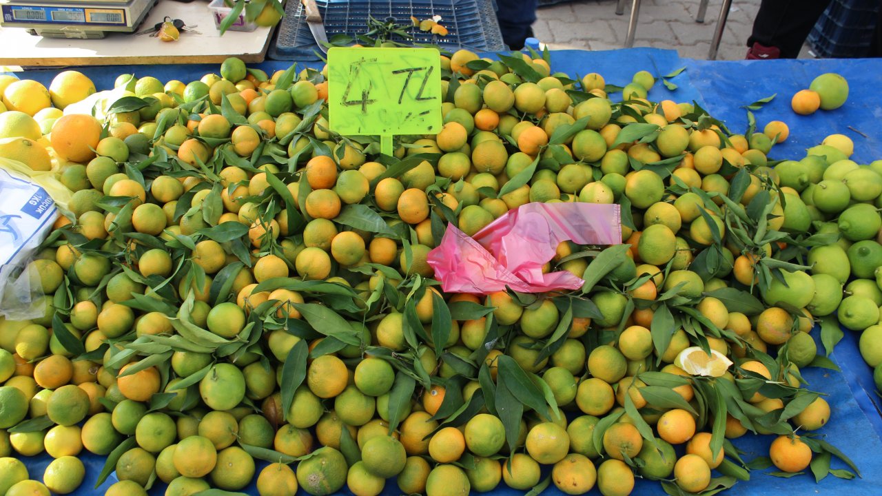 Perşembe Pazarı’nda Mandalinaya Yoğun İlgi
