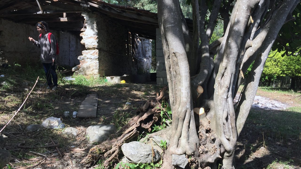 Kullanılmayan Ahır Sanat Yuvasına Dönüştü