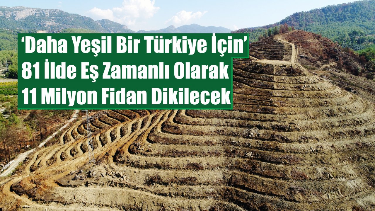 11 Milyon Fidandan 200 Bini Muğla’da Dikilecek