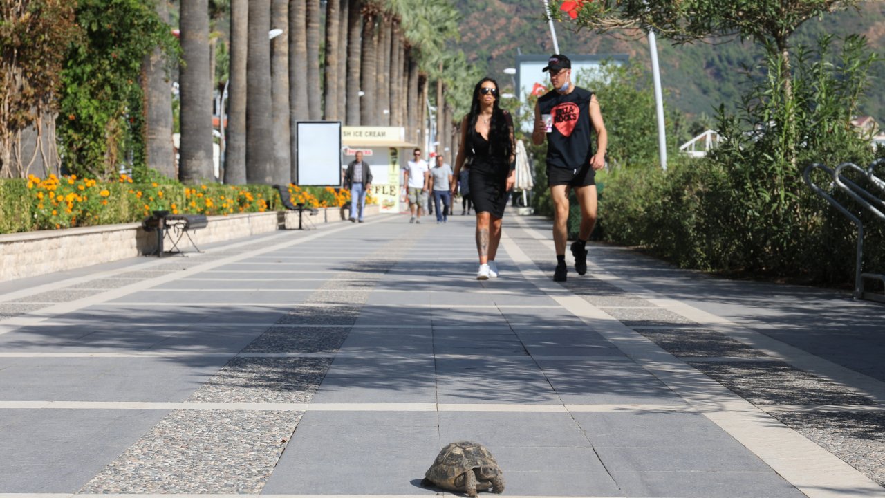 Belediye Ekipleri Vatandaşlardan Tam Not Aldı