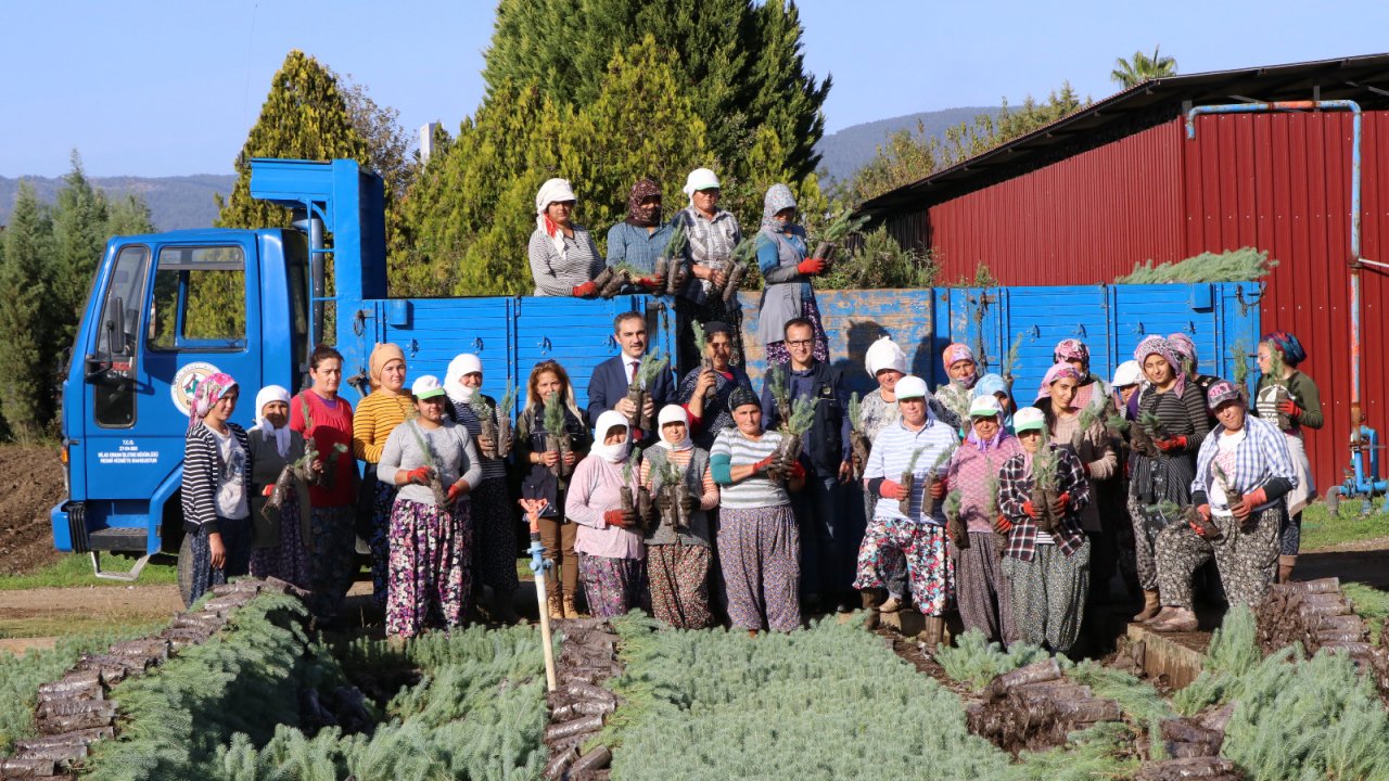 Muğla Orman Bölge Müdürlüğü, 11 Milyon Fidan Dikimine Hazır