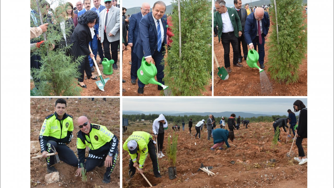 Muğla’da 200 Bin Fidan Toprakla Buluştu