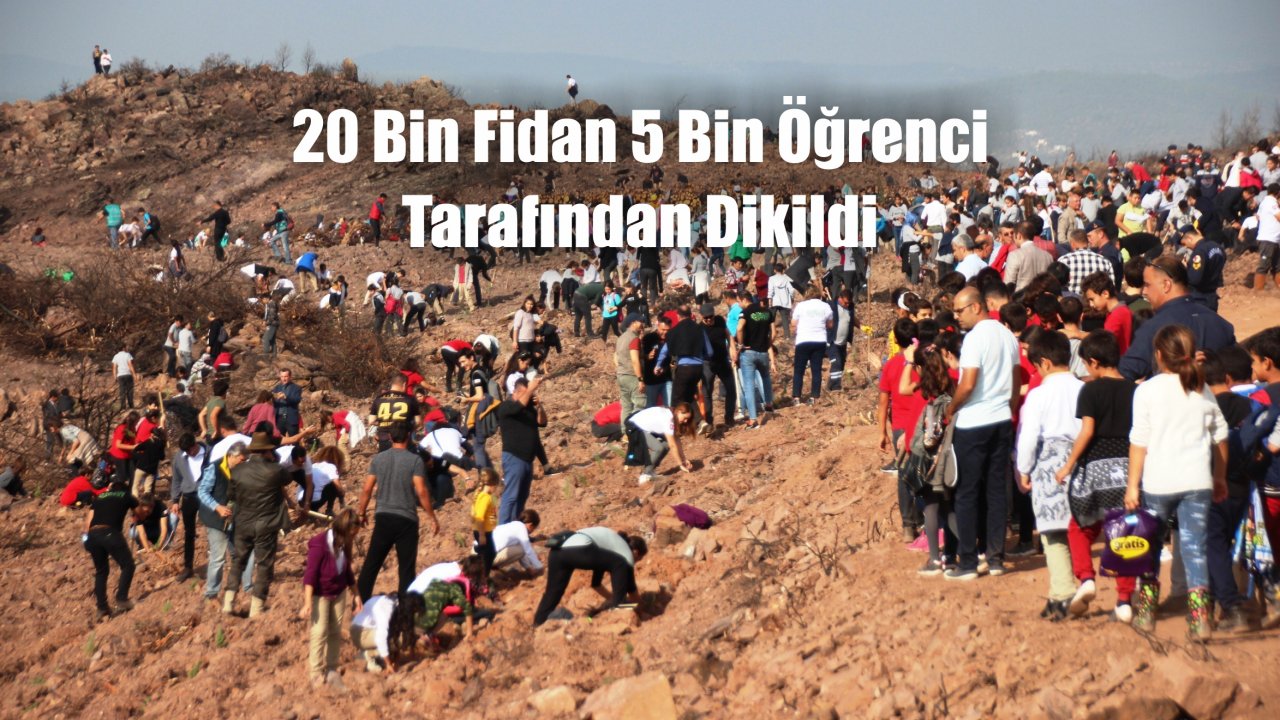 20 Bin Fidan 5 Bin Öğrenci Tarafından Dikildi