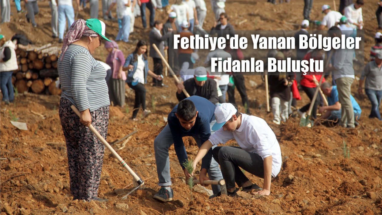 Fethiye'de Yanan Bölgeler Fidanla Buluştu