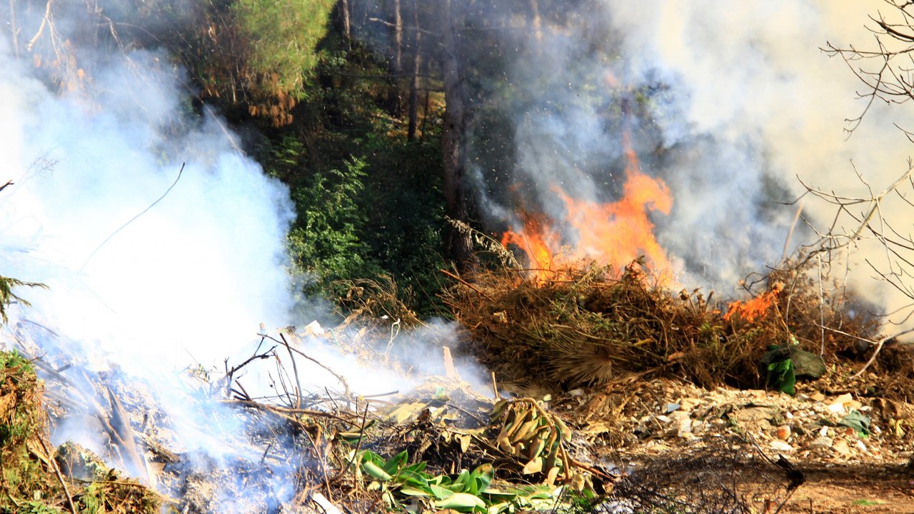 Yangın İhbarı, Kontrollü Yakım Çıktı