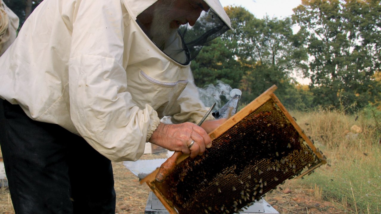 TAB Başkanı Şahin:“İhraç Ürünler Standartlara Uygun Değil”