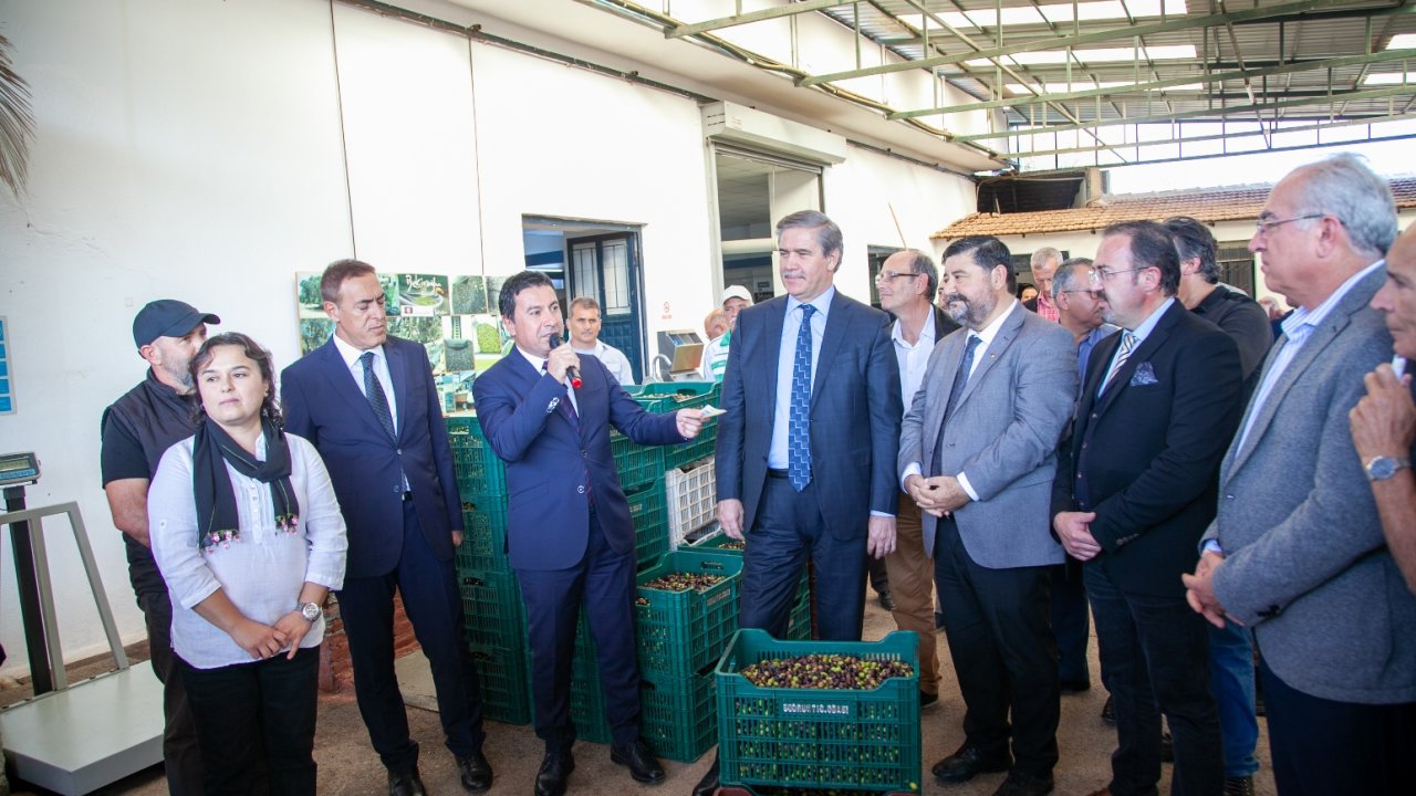 Aras “Biz Zeytin Sıkmayı Bilmiyormuşuz”