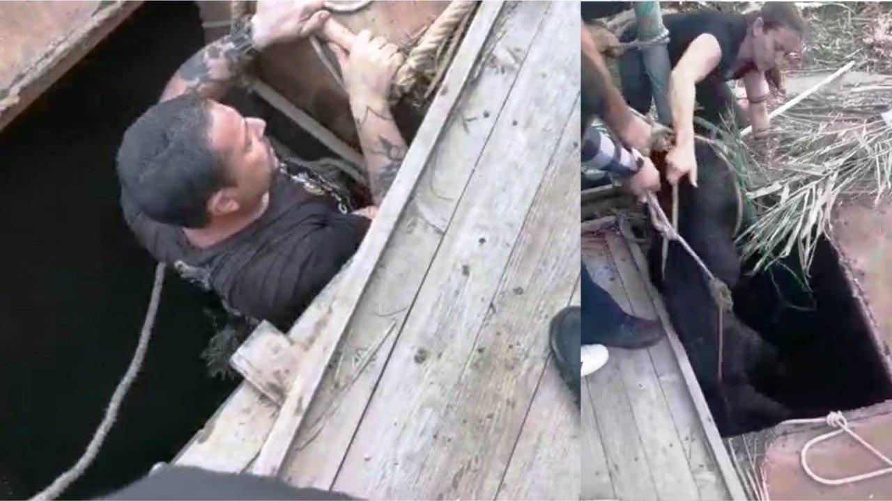 Köpeğini Kurtarmak İsterken Mahsur Kaldı