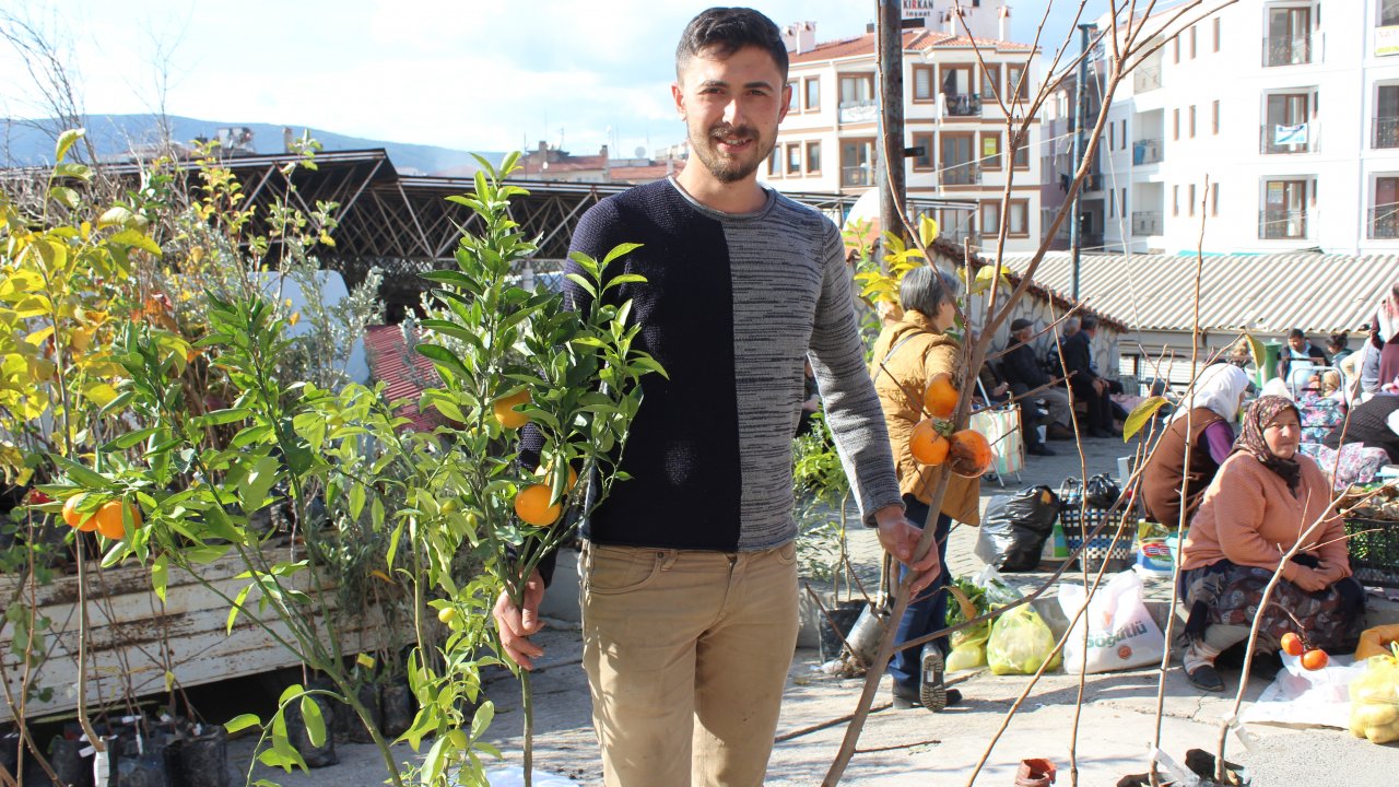 Cennet Elması’na Pazarda Yoğun İlgi