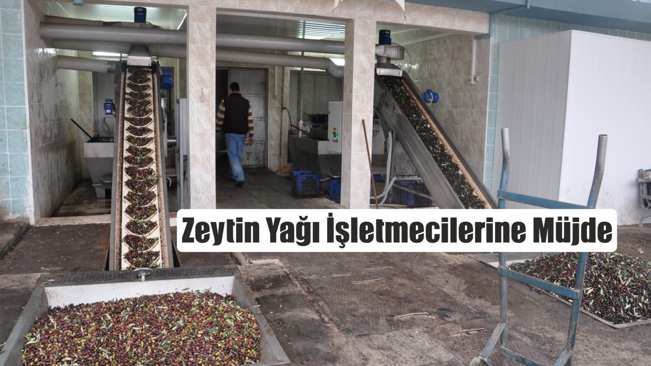 Zeytin Yağı İşletmecilerine Müjde
