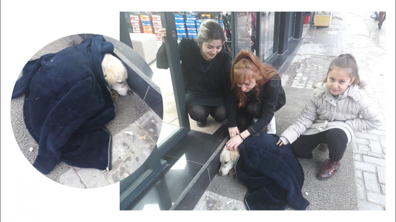 Pati Dostu İşletme Mont ile Isıttı