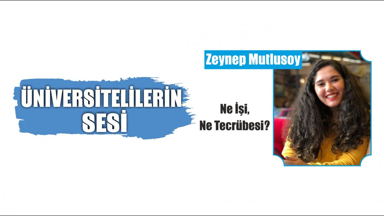 Ne İşi, Ne Tecrübesi?