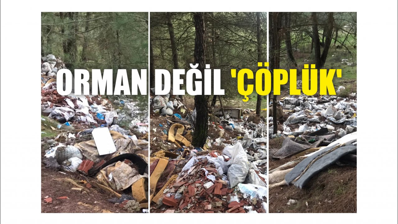 Orman Değil ‘Çöplük’