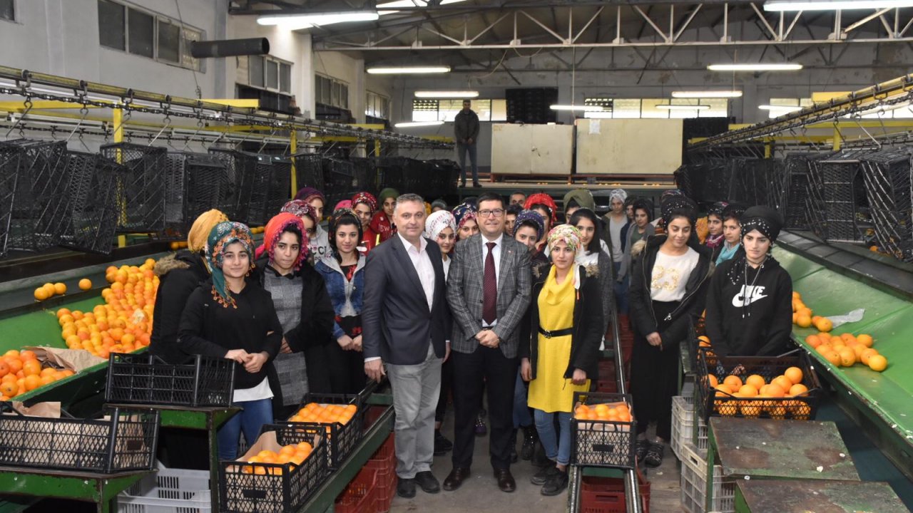 Köyceğiz’de 200 Bin Ton Narenciye Üretildi