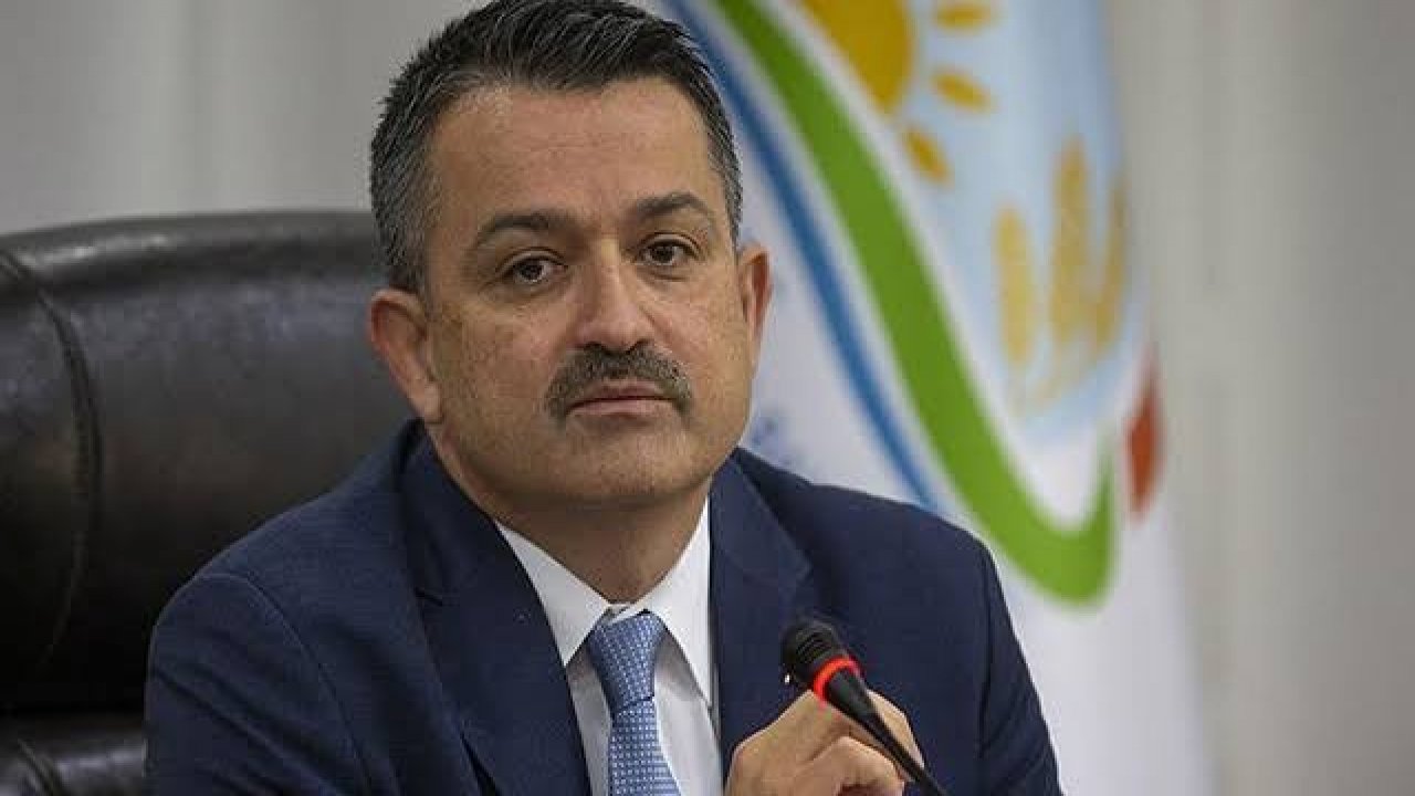 Bakan Pakdemirli’den Zeytin Üreticilerine Müjde