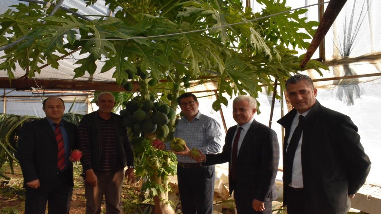 2020 Bütçesinin Yüzde 54’ü Tarımsal Desteklemelere Ayrıldı