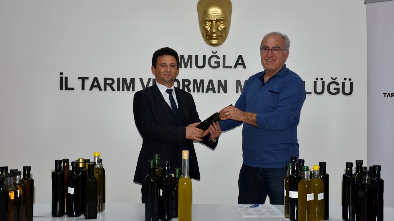 Zeytinyağları Değerlendirmeye Alınıyor