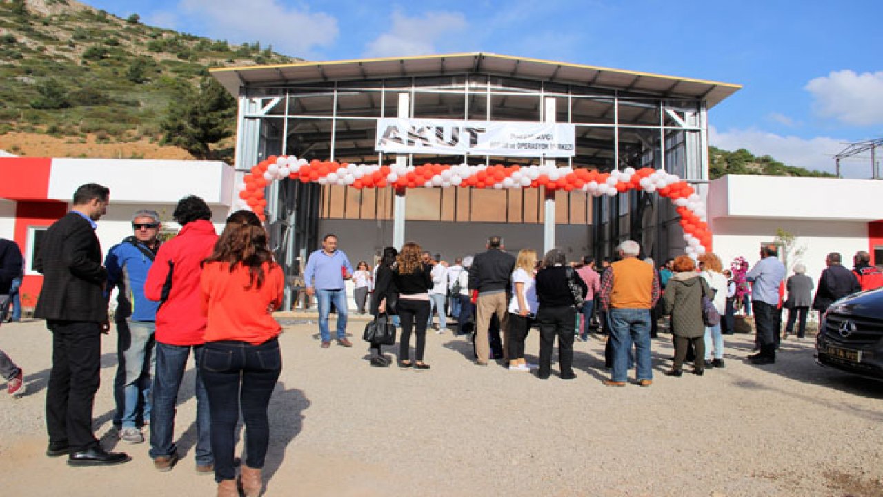 60 yaşındaki caretta caretta yeniden denizde