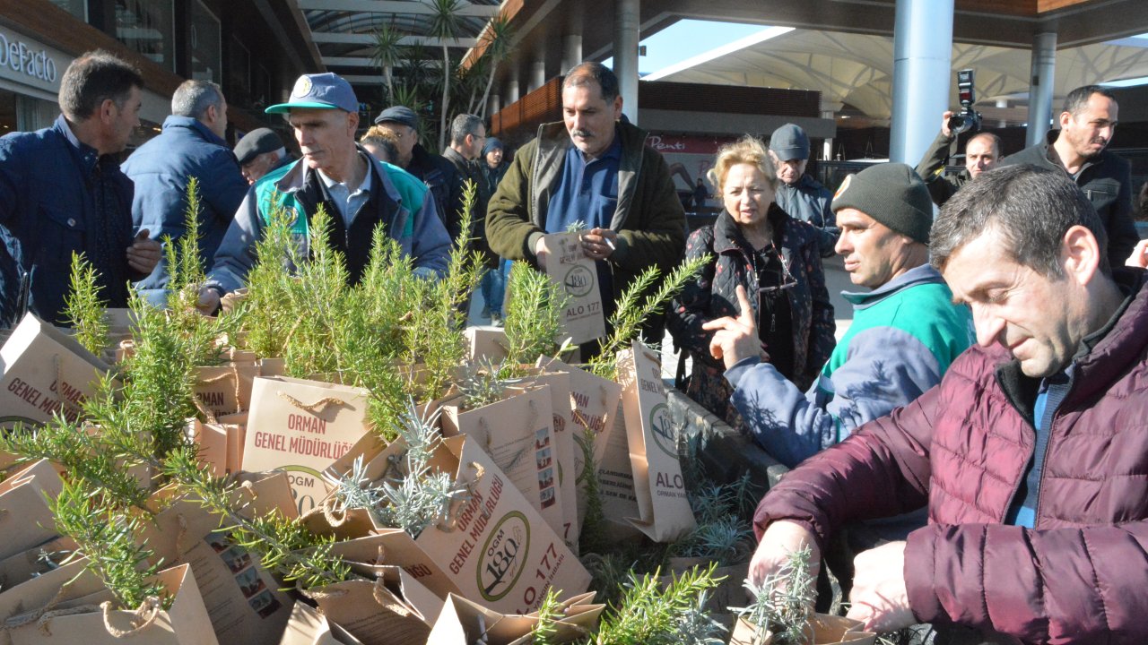 ​Muğla’da Yeni Yıl Fidanları Dağıtıldı