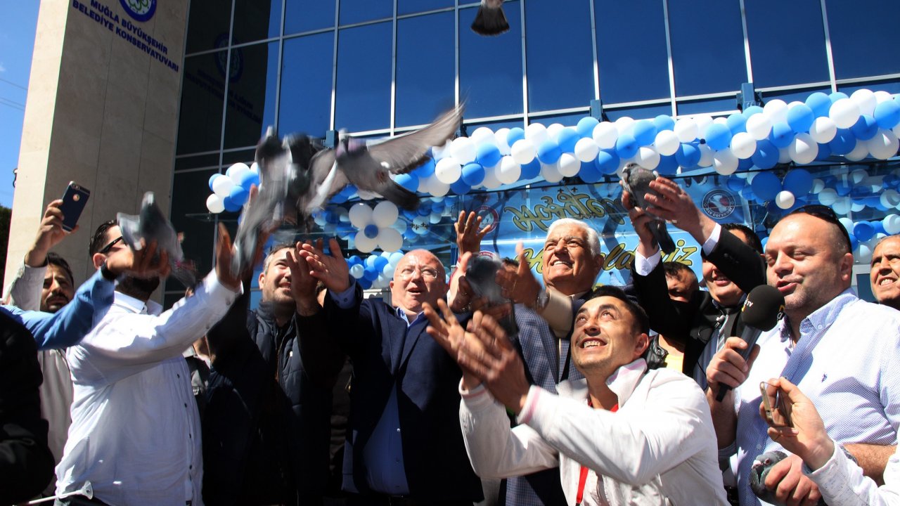 81 ilin Güvercin severleri Muğla’da festivalde buluştu