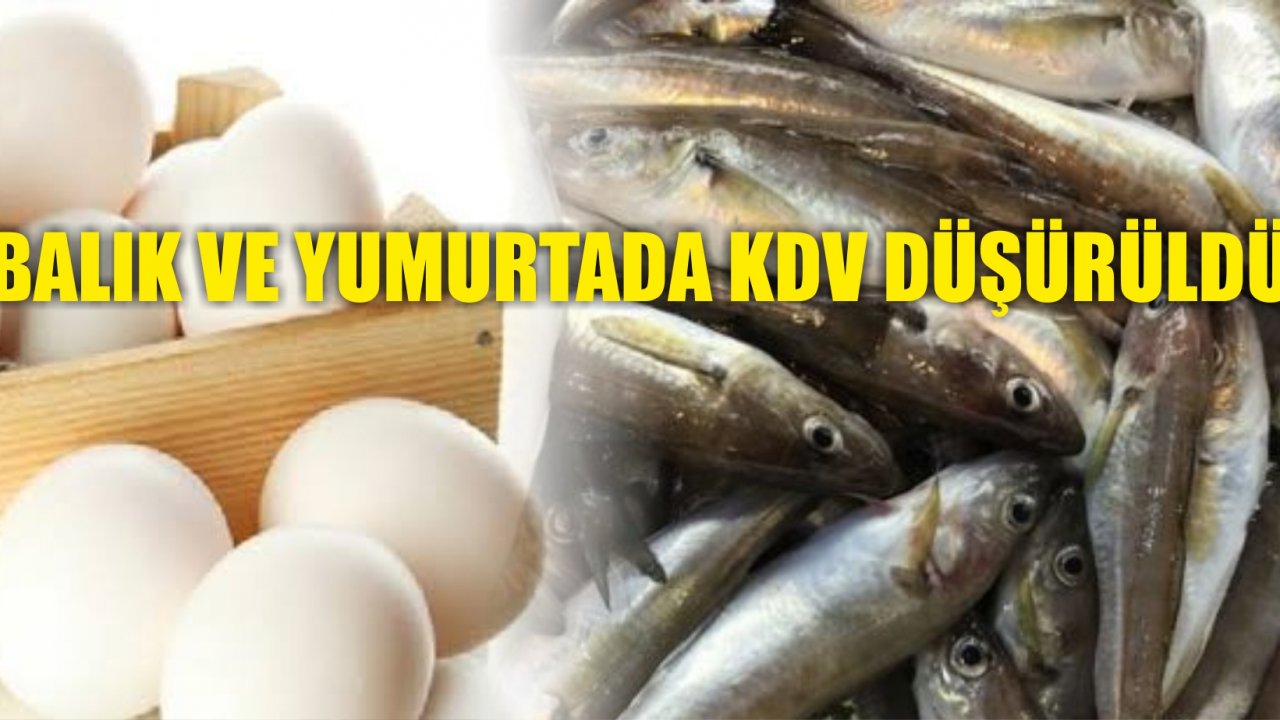 Balıkta KDV Yüzde 1'e İndirildi