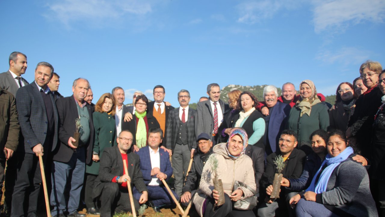 Lavantalar Toprakla Buluşmaya Devam Ediyor