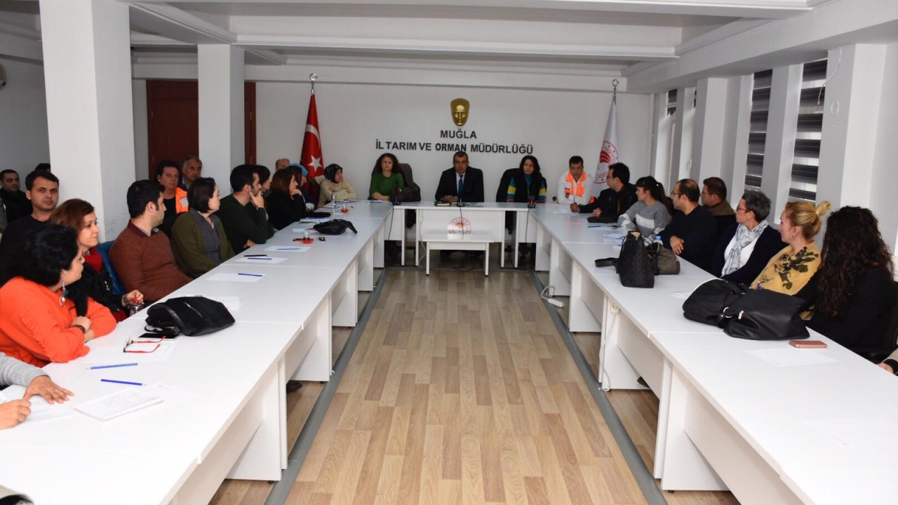 Eğiticilere “Zeytinde Budama” Eğitimi Verildi