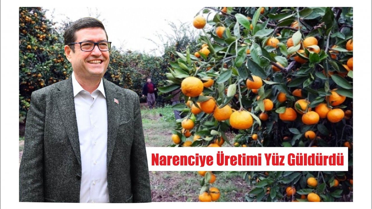 Narenciye Üretimi Yüz Güldürdü