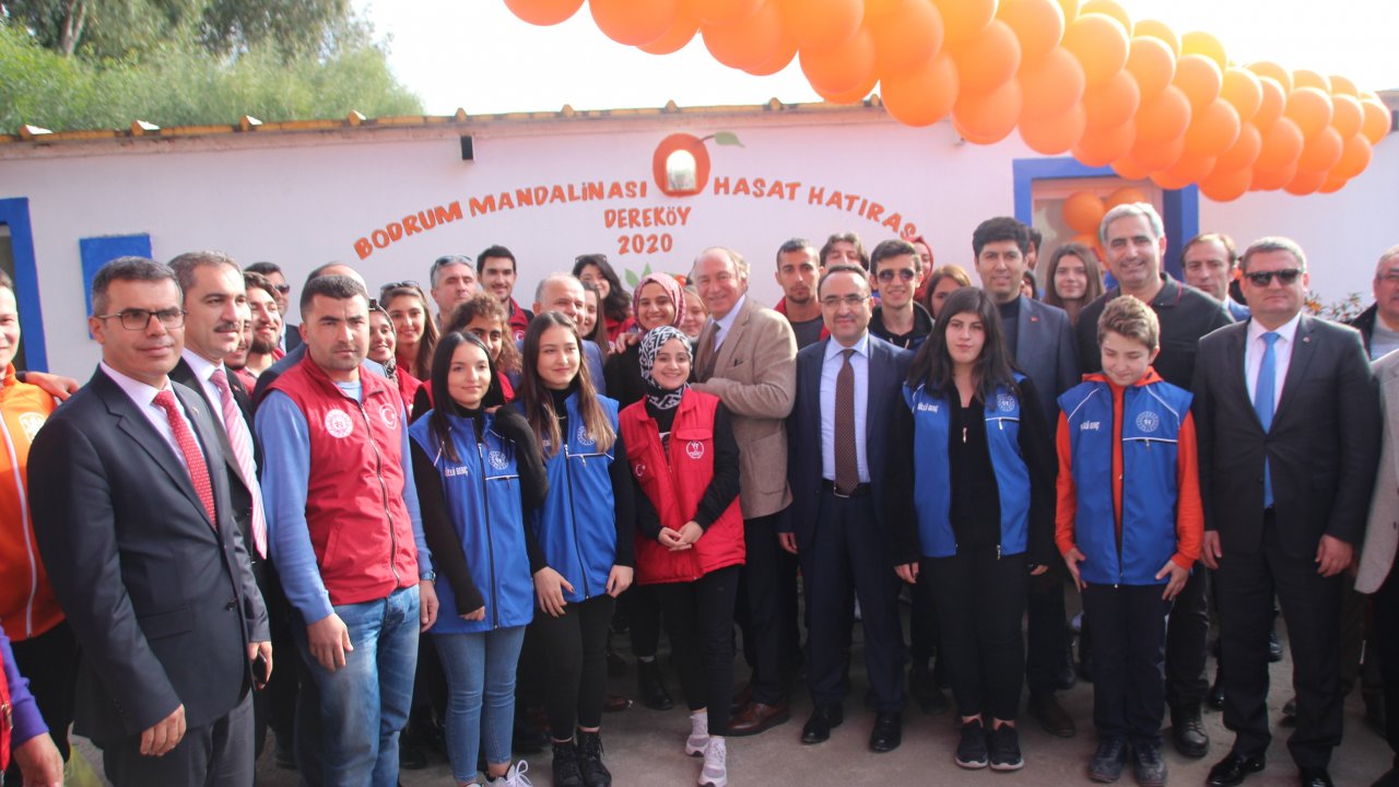 Mandalina Şenliğine Yoğun İlgi