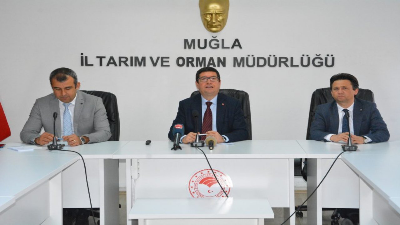 İl Müdürü Saylak; “Muğla, Tarım ve Turizmin Birleşmesiyle Kurtulacak”