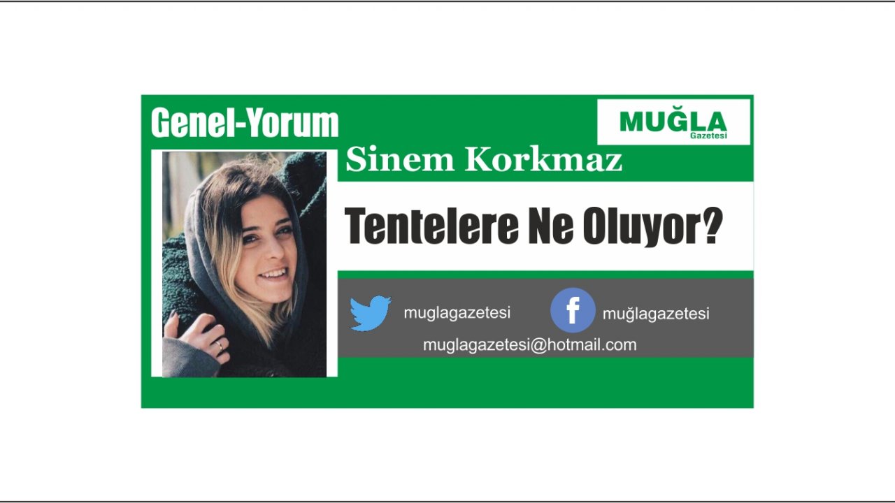 Tentelere Ne Oluyor?