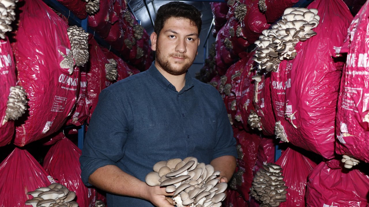 Üniversiteli Sefa Devlet Desteğiyle Mantar Üreticisi Oldu