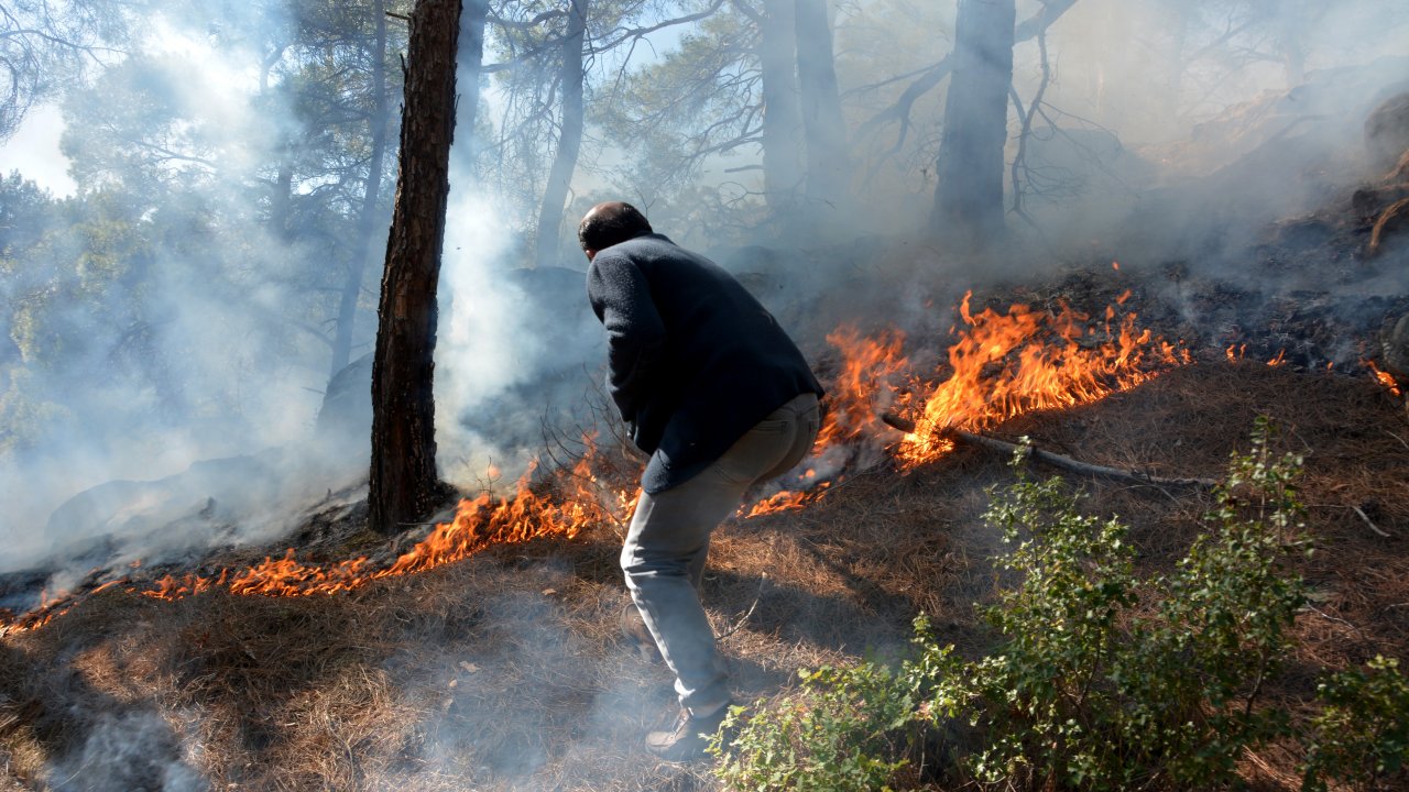 Çıkan Yangında 5 Dönüm Orman Alanı Zarar Gördü
