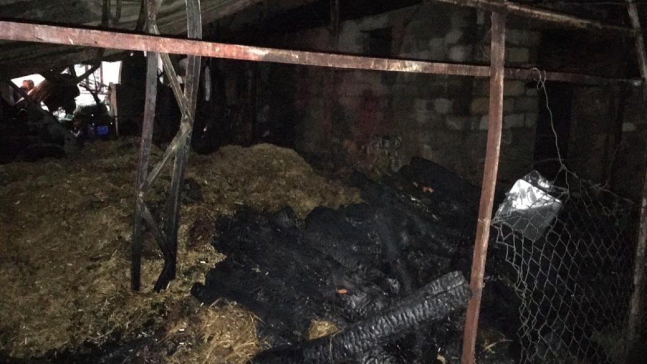 Yangında 4 Küçükbaş Hayvan Telef Oldu