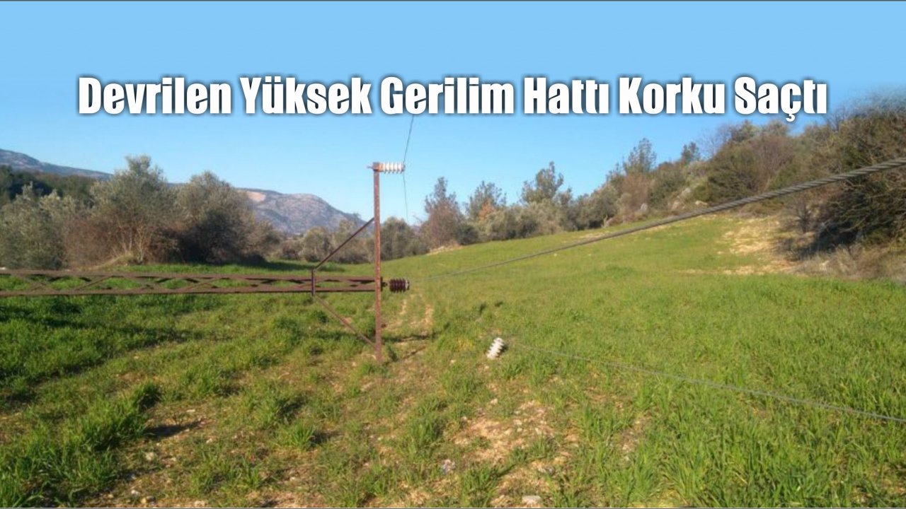 Devrilen Yüksek Gerilim Hattı Korku Saçtı
