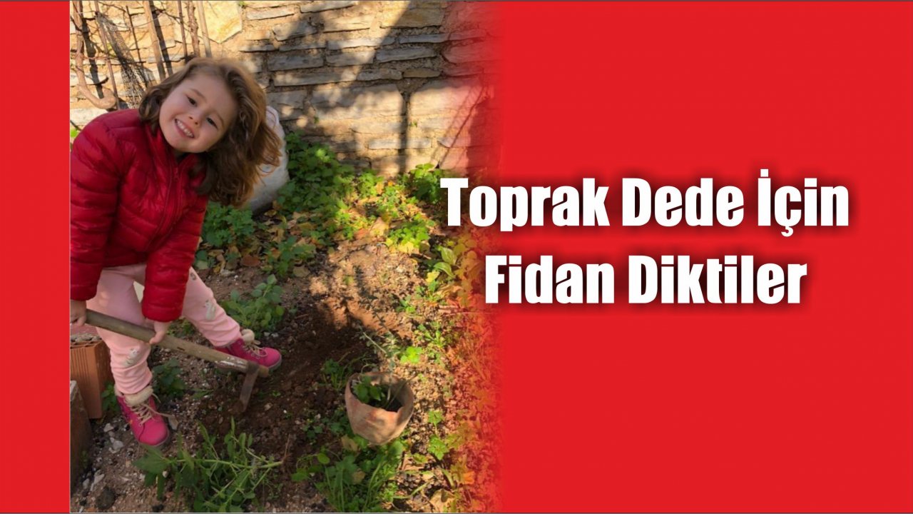 Toprak Dede İçin Fidan Diktiler